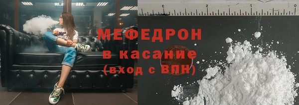 индика Новодвинск