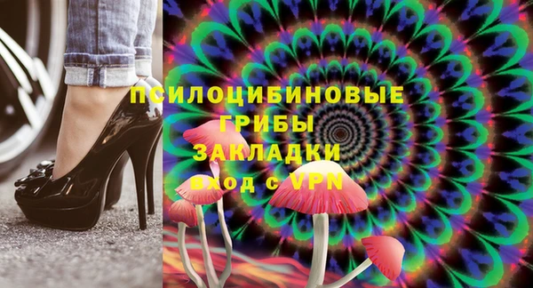марки lsd Новозыбков