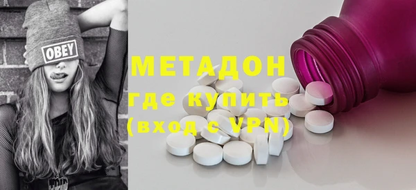 индика Новодвинск