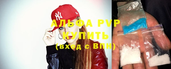 индика Новодвинск