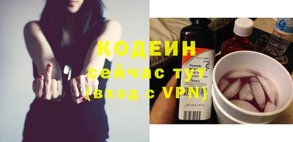 индика Новодвинск