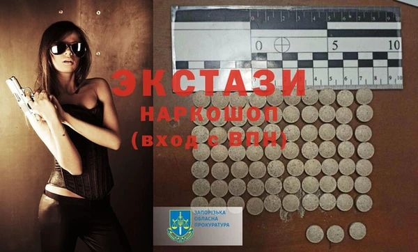индика Новодвинск