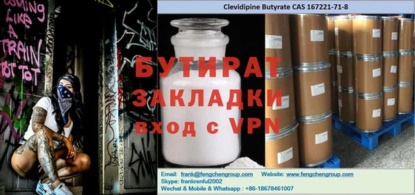 индика Новодвинск
