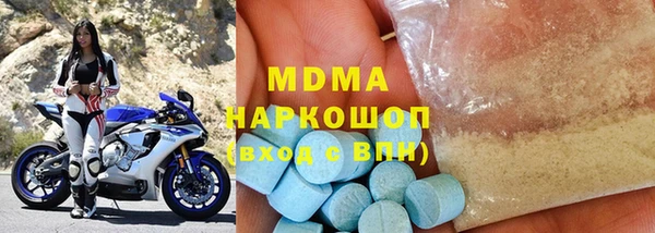 индика Новодвинск