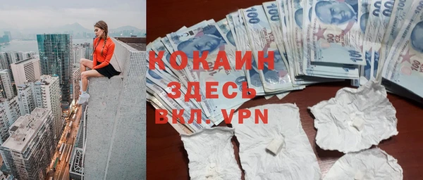 индика Новодвинск