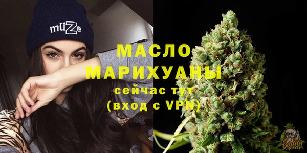 индика Новодвинск