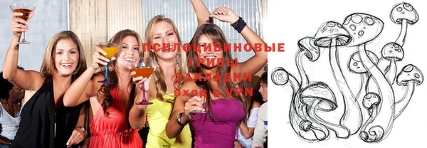 индика Новодвинск