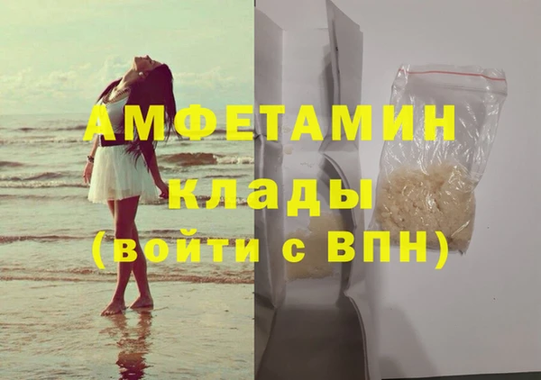индика Новодвинск