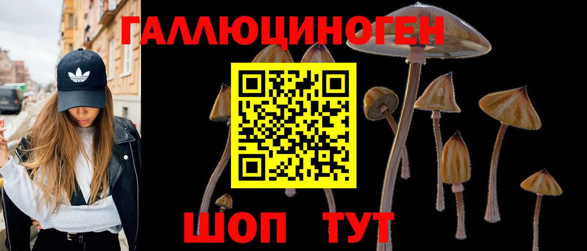 Галлюциногенные грибы Psilocybe Лосино-Петровский