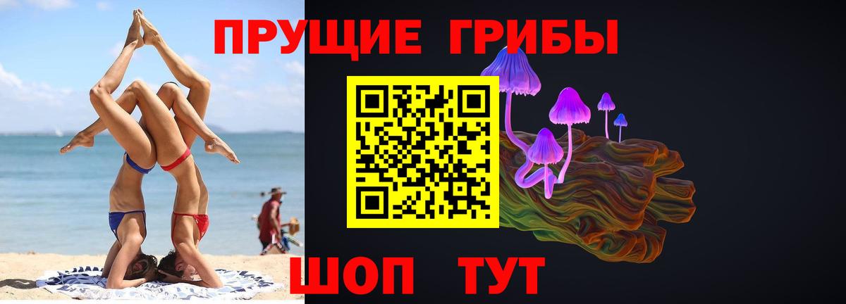 Псилоцибиновые грибы GOLDEN TEACHER  Псилоцибиновые грибы Magic Shrooms  Лосино-Петровский  Вход с VPN 