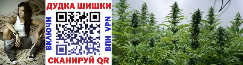 Бошки марихуана White Widow  где продают наркотики  Лосино-Петровский 